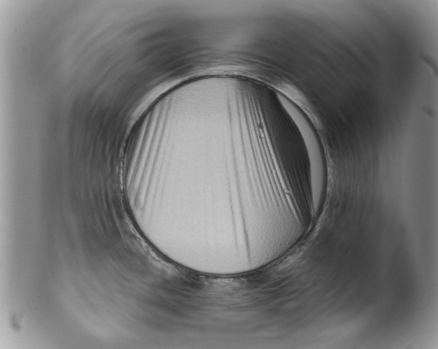 X0000099951436200806131438