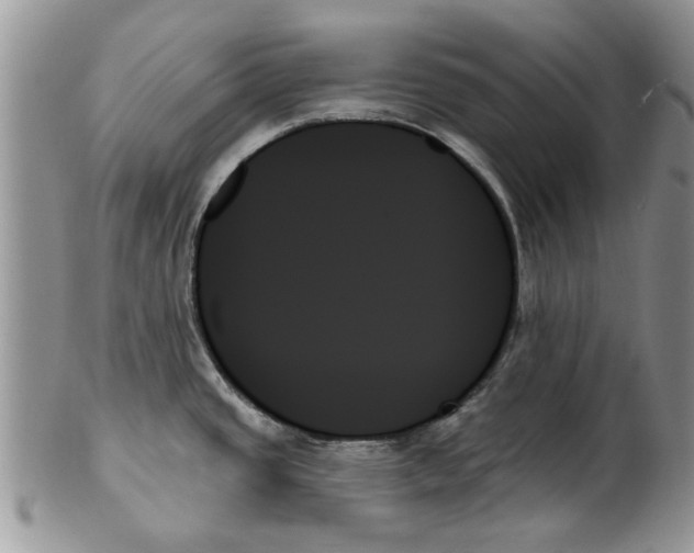 X0000099951437200806131438