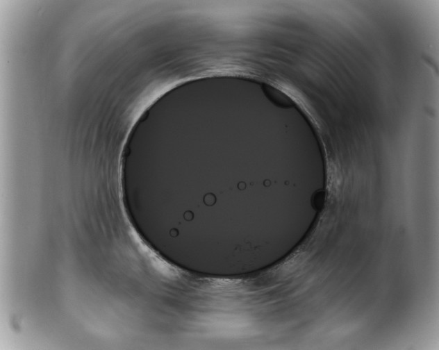 X0000099951439200806131438