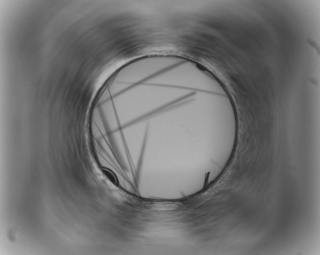 X0000099951440200806131438