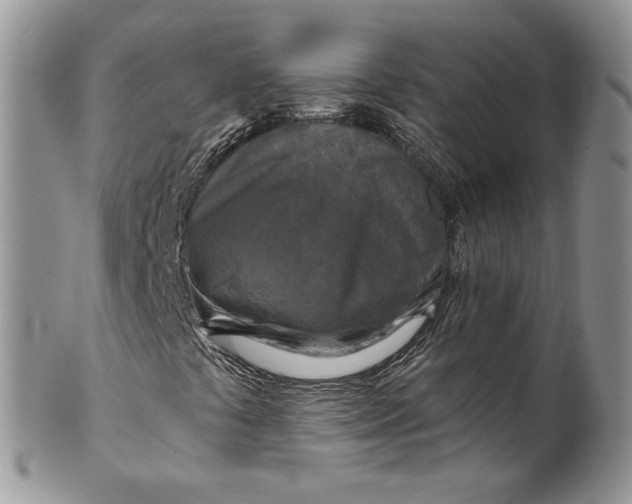 X0000099951441200806131437