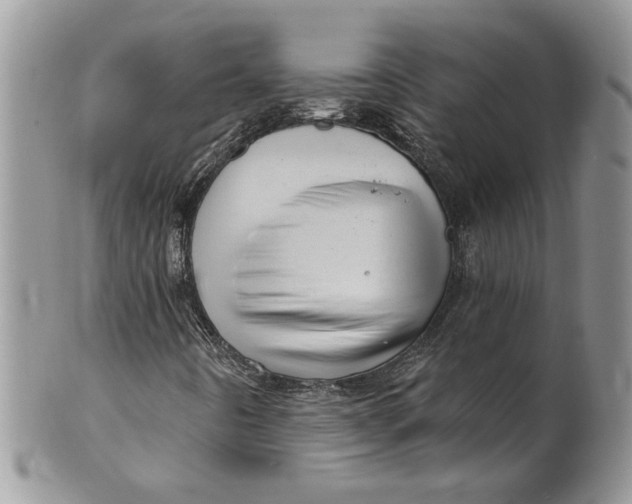 X0000099951442200806131437