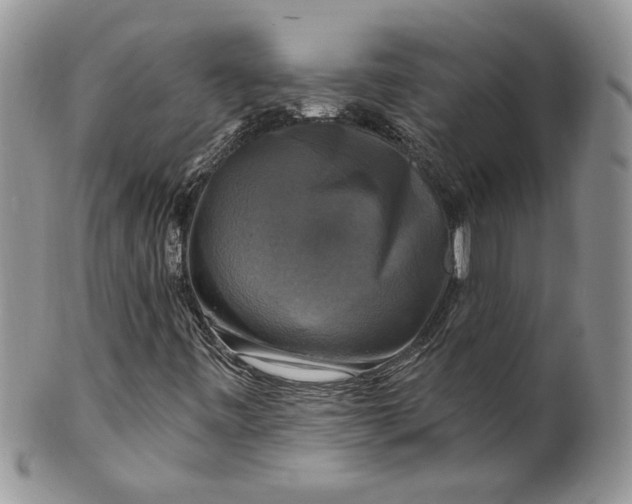 X0000099951443200806131437