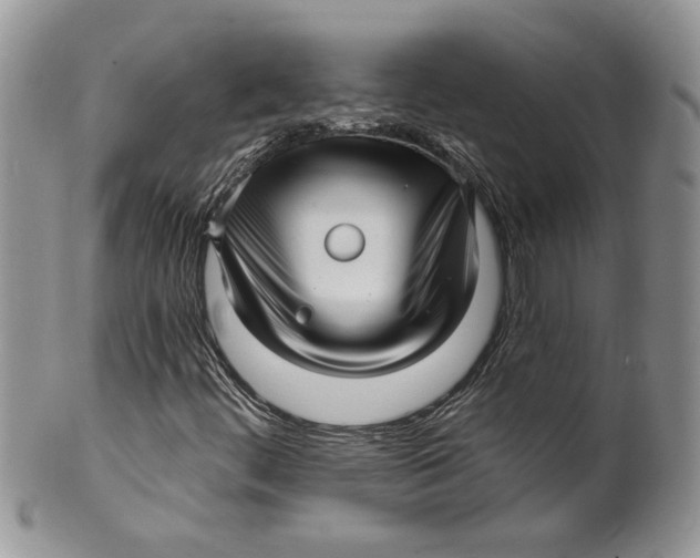 X0000099951444200806131437