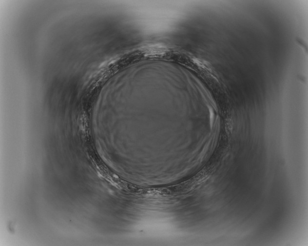 X0000099951445200806131437