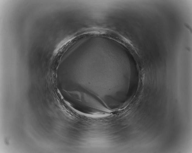 X0000099951448200806131437