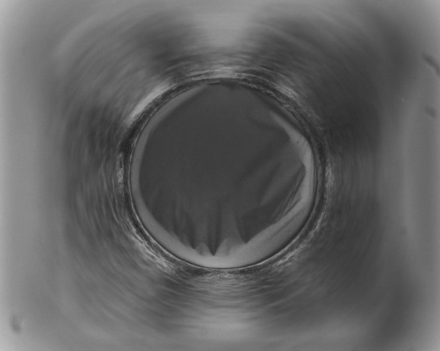 X0000099951450200806131437