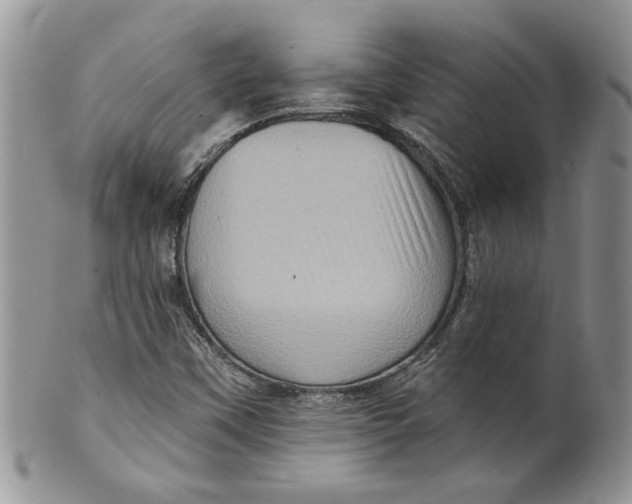 X0000099951451200806131437