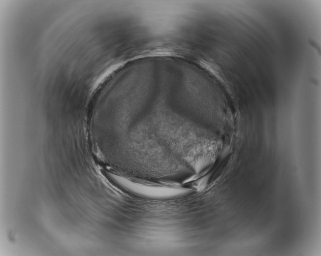 X0000099951452200806131437