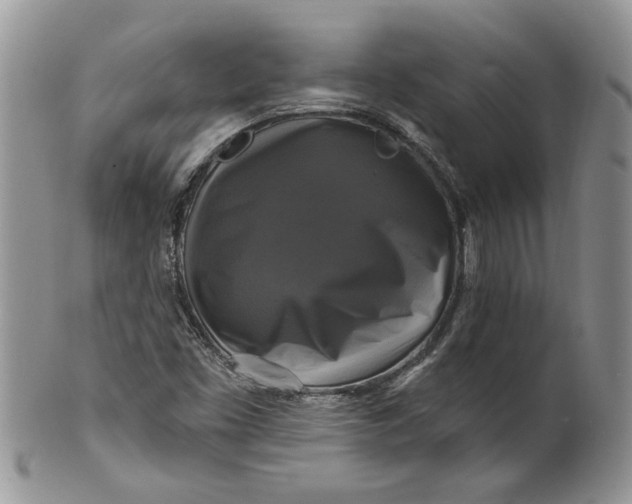 X0000099951453200806131437