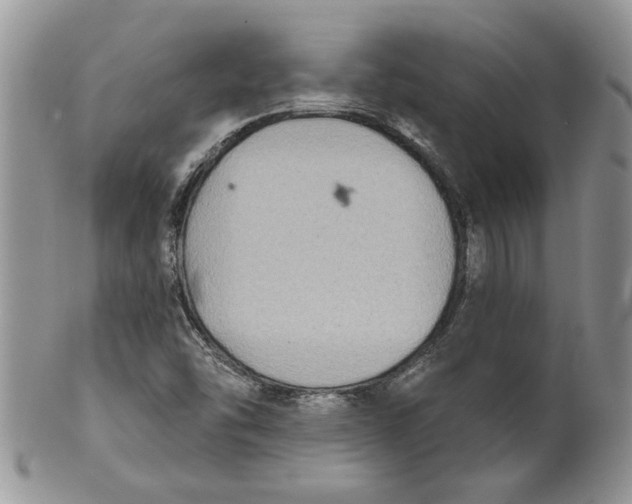 X0000099951454200806131437