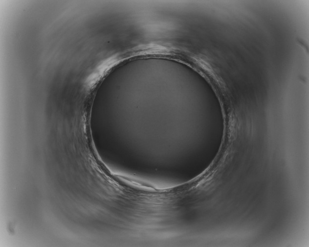 X0000099951455200806131437