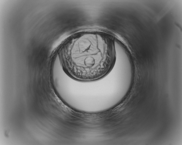 X0000099951456200806131437