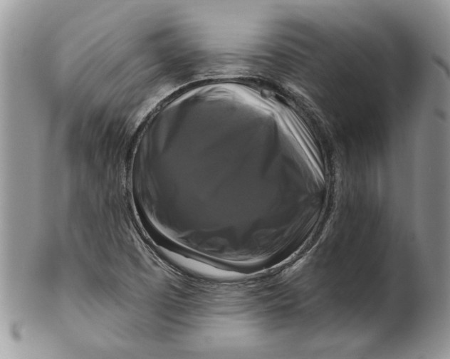 X0000099951457200806131437