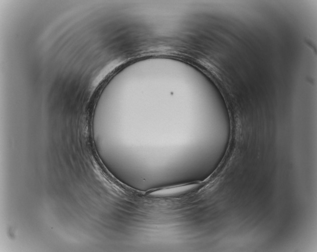 X0000099951458200806131437