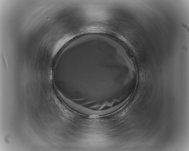 X0000099951461200806131437