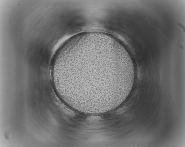 X0000099951462200806131437