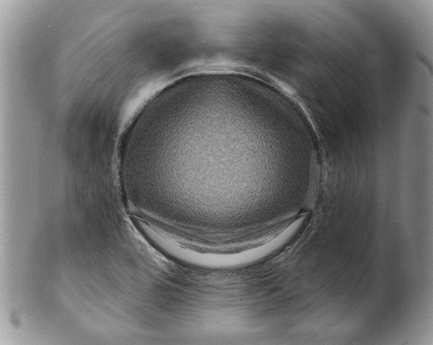 X0000099951464200806131437