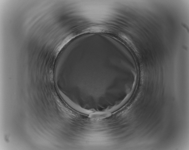 X0000099951465200806131437