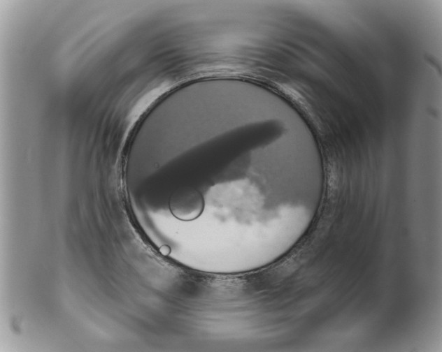 X0000099951466200806131437