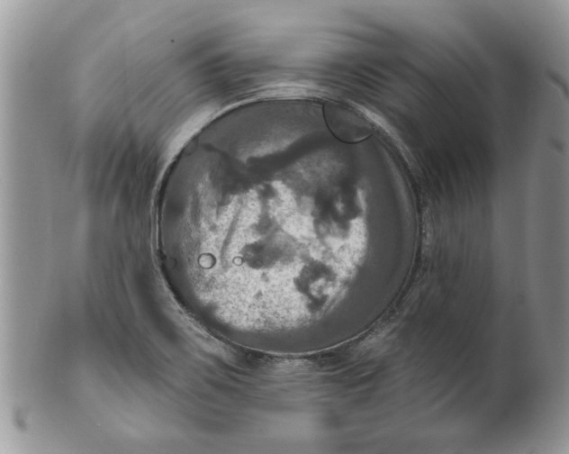 X0000099951467200806131437