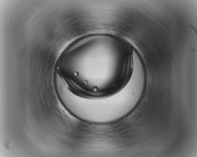 X0000099951468200806131437