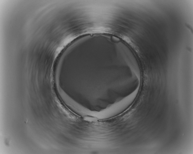 X0000099951469200806131437