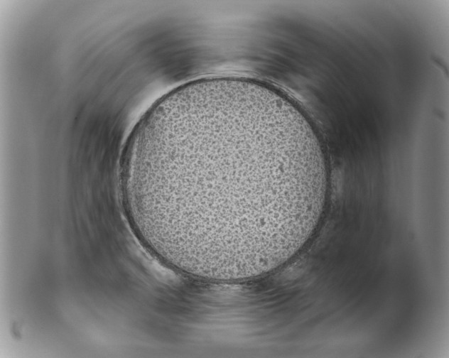 X0000099951470200806131437