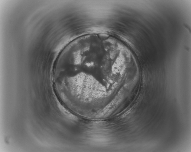 X0000099951471200806131436