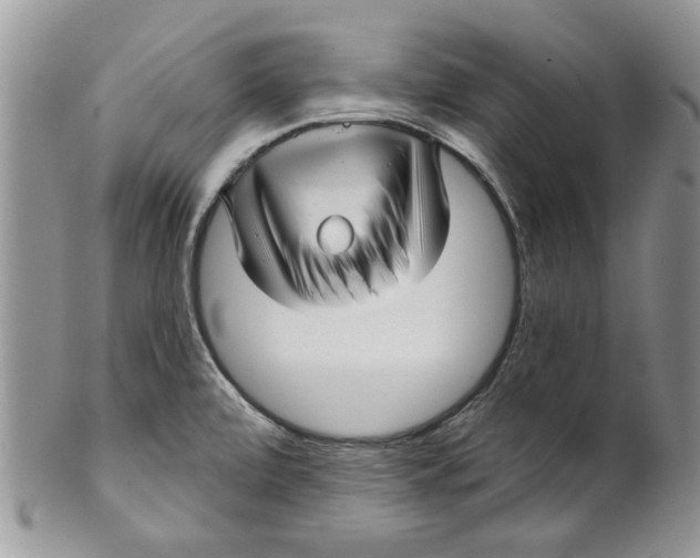 X0000099951472200806131436