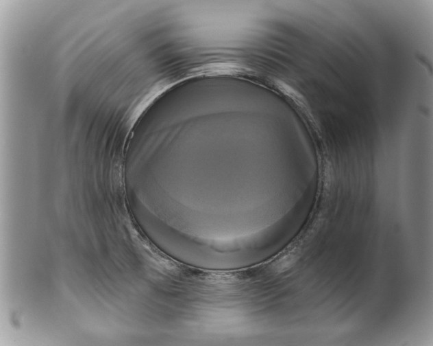 X0000099951473200806131436