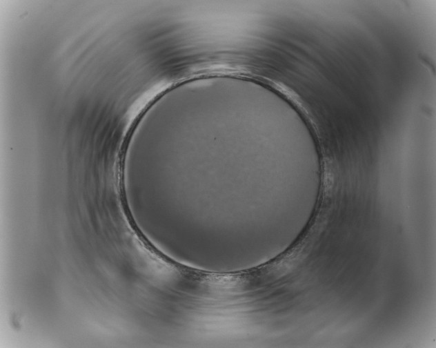 X0000099951474200806131436