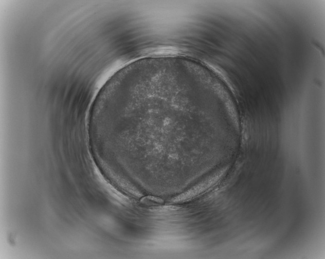 X0000099951475200806131436