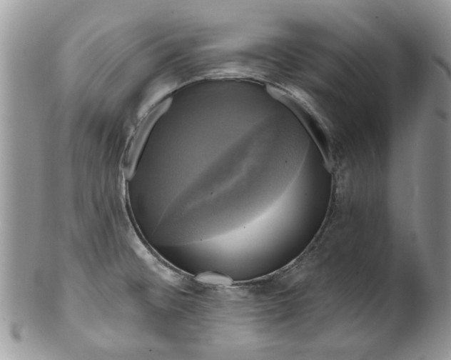 X0000099951476200806131436