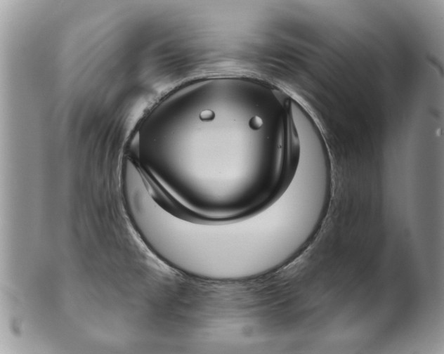 X0000099951477200806131436