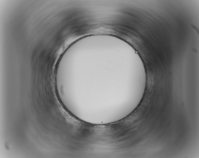 X0000099951478200806131436