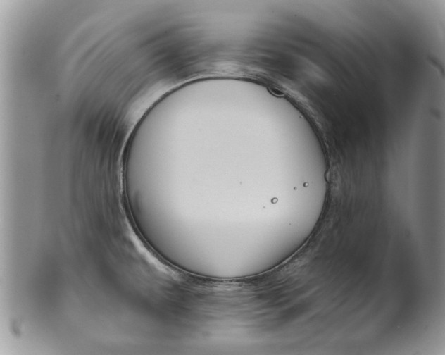 X0000099951479200806131436