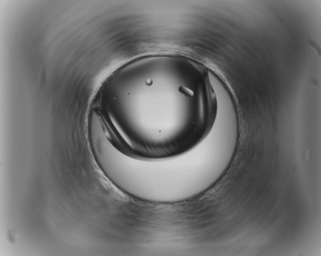 X0000099951480200806131436