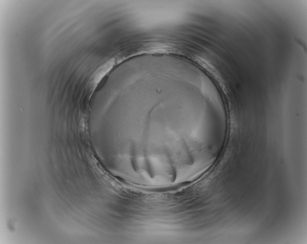 X0000099951481200806131436