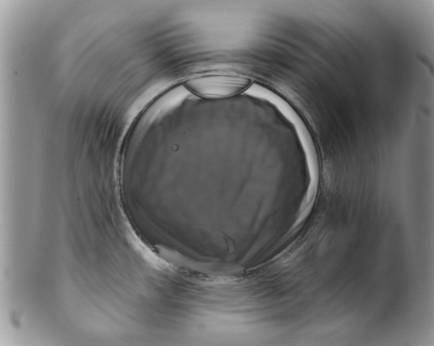 X0000099951482200806131436