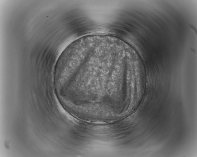 X0000099951483200806131436