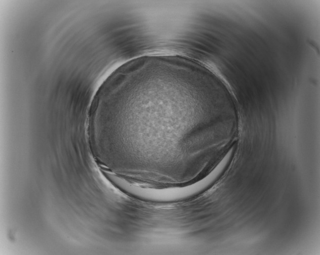 X0000099951484200806131436