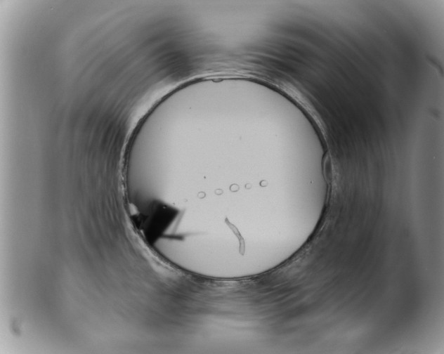 X0000099951485200806131436