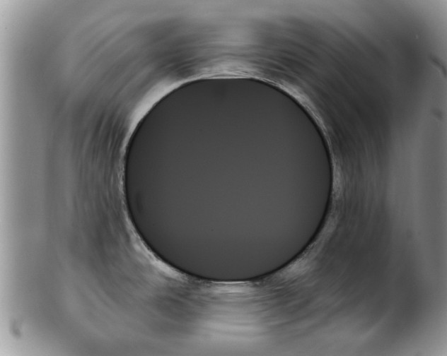 X0000099951486200806131436