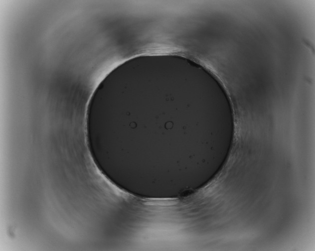 X0000099951487200806131436