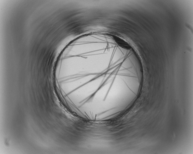 X0000099951488200806131436