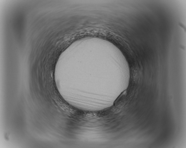 X0000099951489200806131436