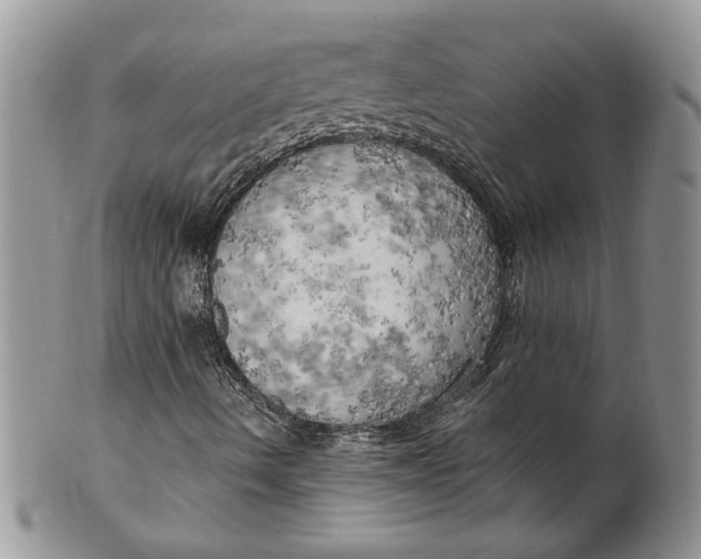 X0000099951490200806131436