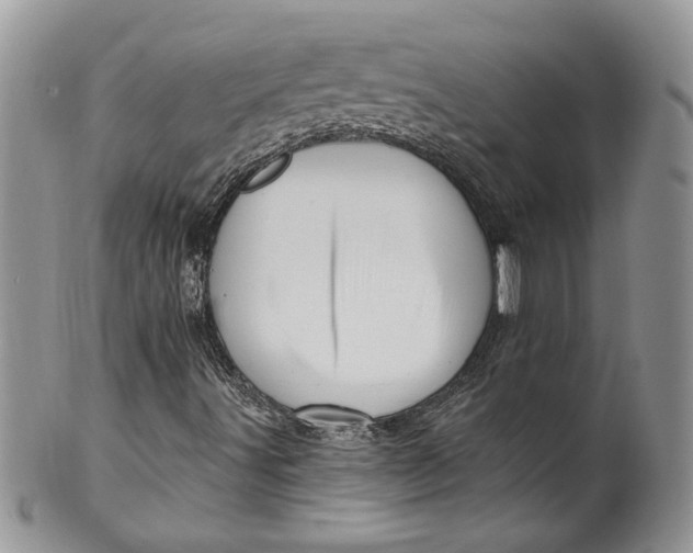 X0000099951491200806131436