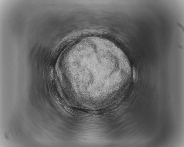 X0000099951492200806131436